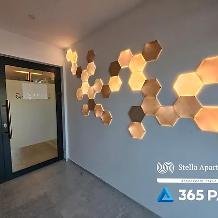 365pam - Rose Gold - Parking W Cenie * Gąski