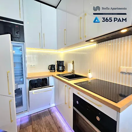 365pam - Rose Gold - Parking W Cenie