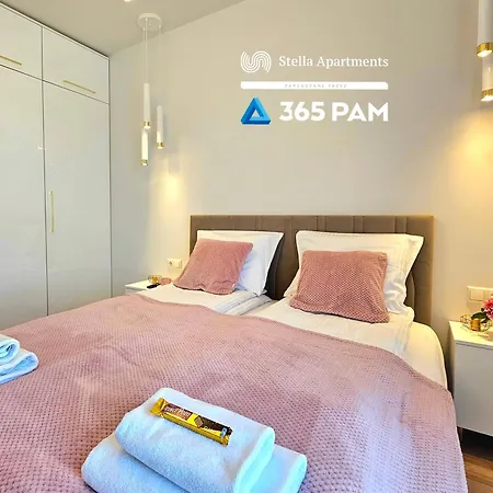 365pam - Rose Gold - Parking W Cenie * Gąski