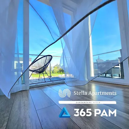 365pam - Rose Gold - Parking W Cenie * Gąski