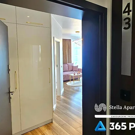 365pam - Rose Gold - Parking W Cenie * Gąski