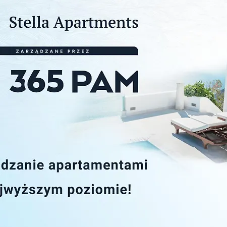 Rose Gold - 365pam